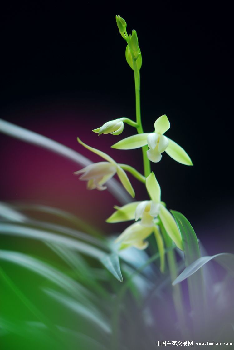素素素