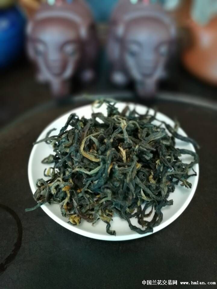 茶多酚提取：新生活方式的推动者