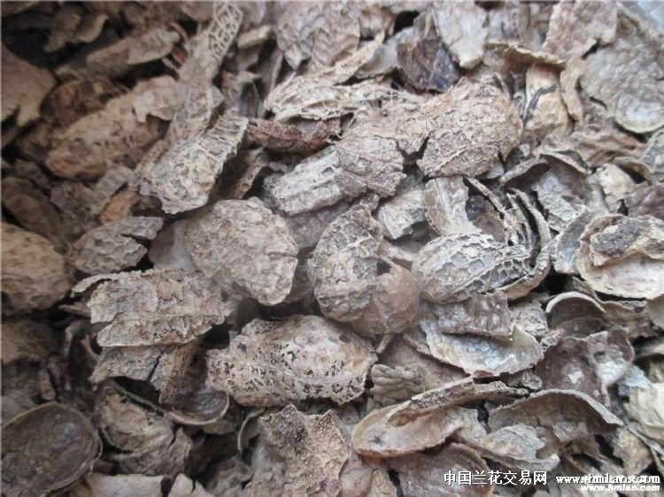 包邮精筛自然发酵一年花生壳全干品10斤60升